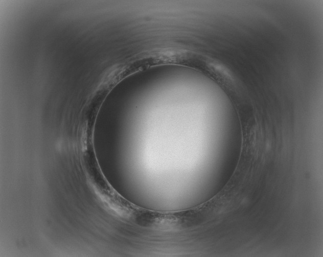 X0000081430694200701121302