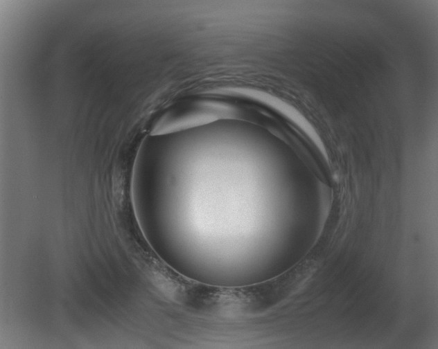 X0000081430697200701121302
