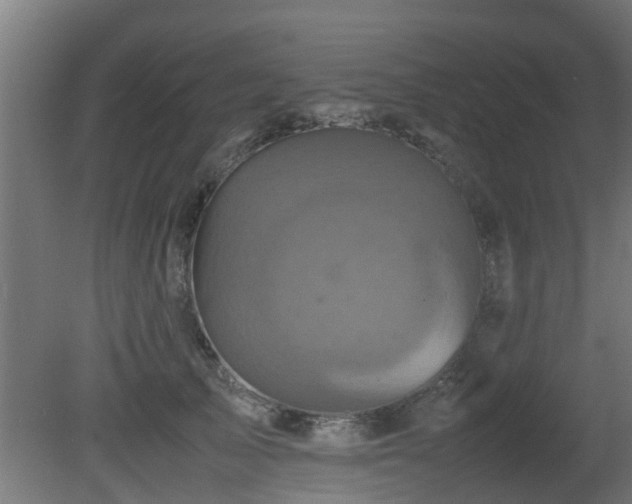 X0000081430705200701121302
