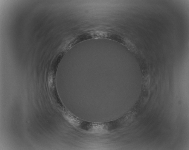 X0000081430709200701121302