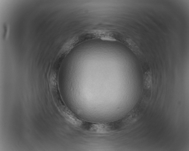 X0000081430713200701121302