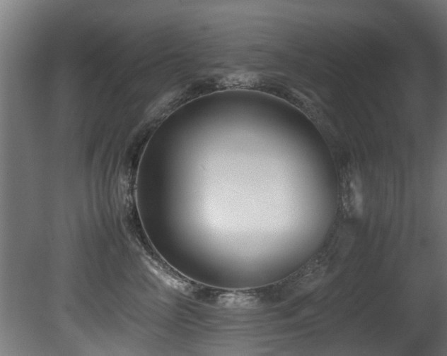 X0000081430714200701121302