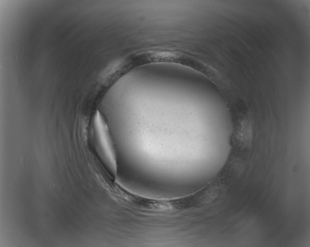 X0000081430715200701121302
