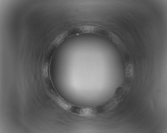 X0000081430717200701121302