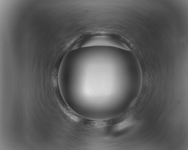 X0000081430719200701121302
