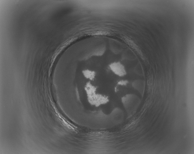 X0000081430721200701121301