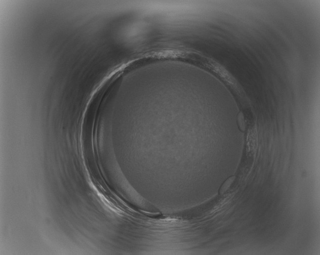 X0000081430722200701121301