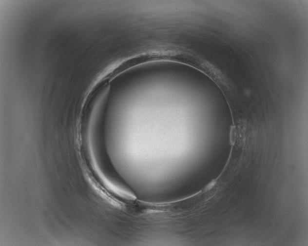 X0000081430726200701121301