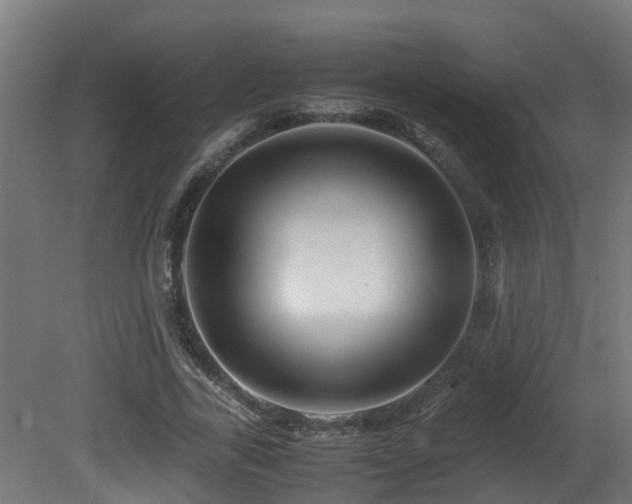 X0000081430731200701121301
