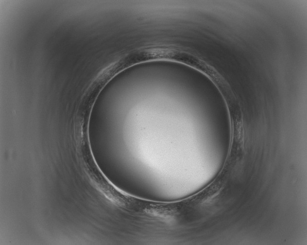 X0000081430733200701121301