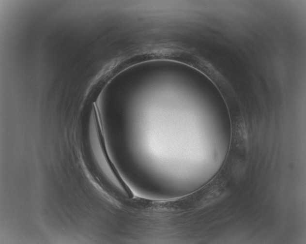 X0000081430734200701121301