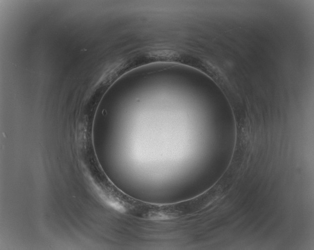 X0000081430739200701121301