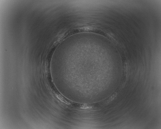 X0000081430760200701121302