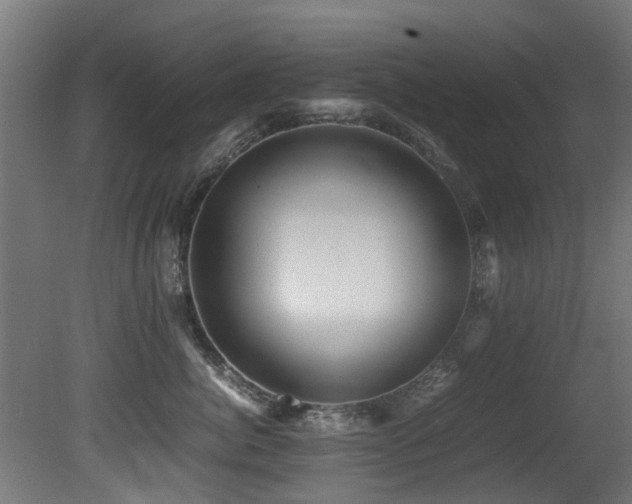 X0000081430764200701121302
