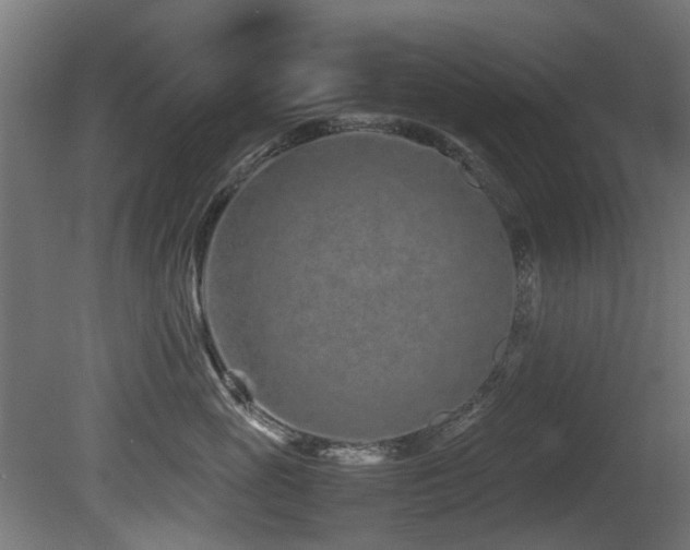 X0000081430765200701121302