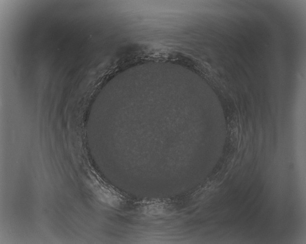 X0000081430769200701121301