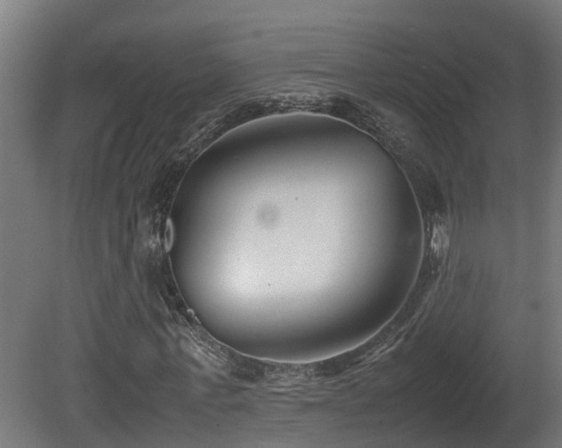 X0000081430771200701121301
