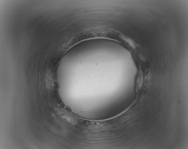X0000081430772200701121301