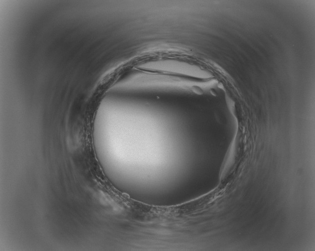 X0000081430775200701121301