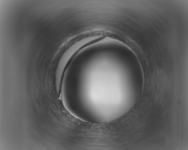 X0000081430776200701121301
