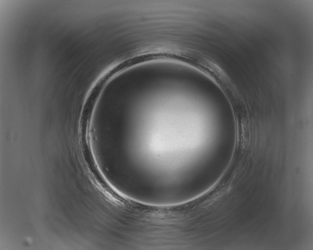 X0000081430780200701121301