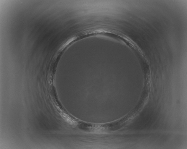 X0000081430785200701121301