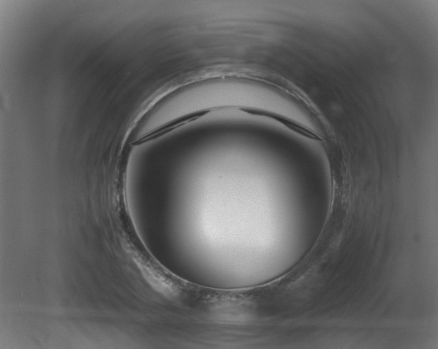 X0000081430786200701121301