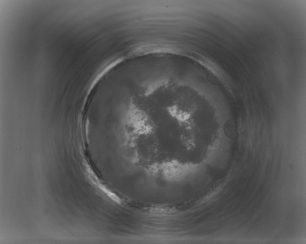 X0000081430790200701121301