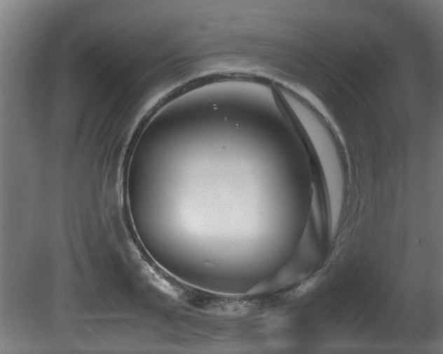 X0000081430791200701121301