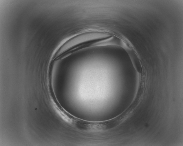 X0000081430795200701121300