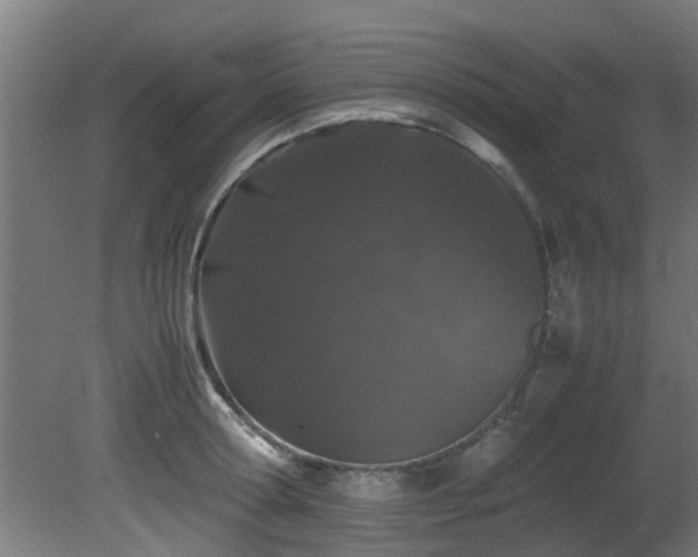 X0000081430802200701121300