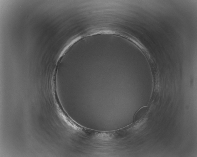 X0000081430806200701121300