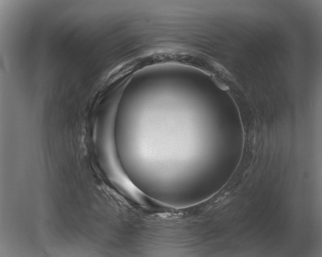 X0000081430822200701121259