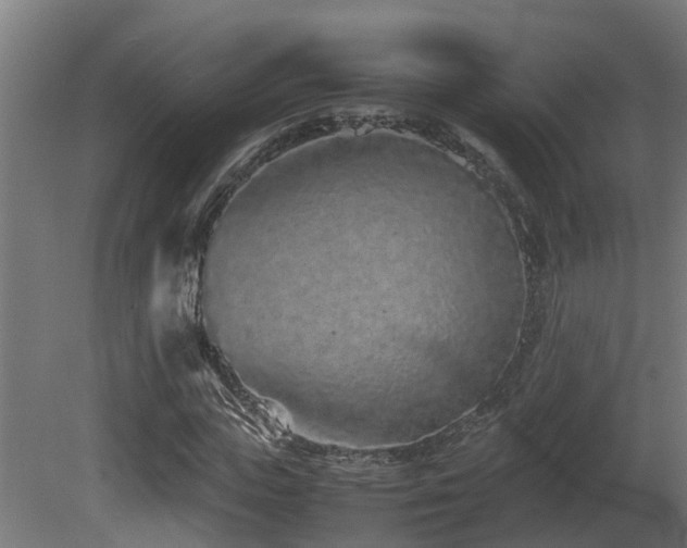 X0000081430823200701121259
