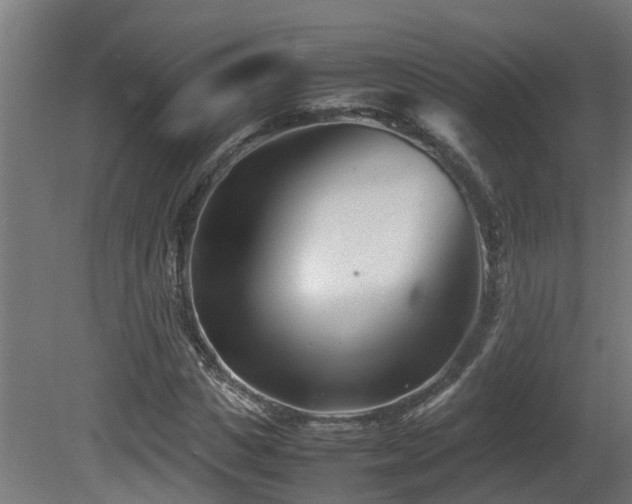 X0000081430825200701121259