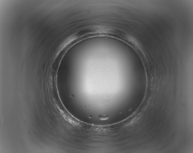X0000081430827200701121259