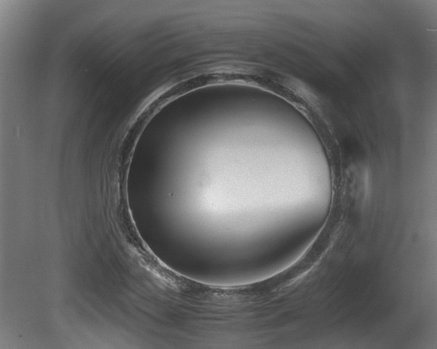 X0000081430829200701121300