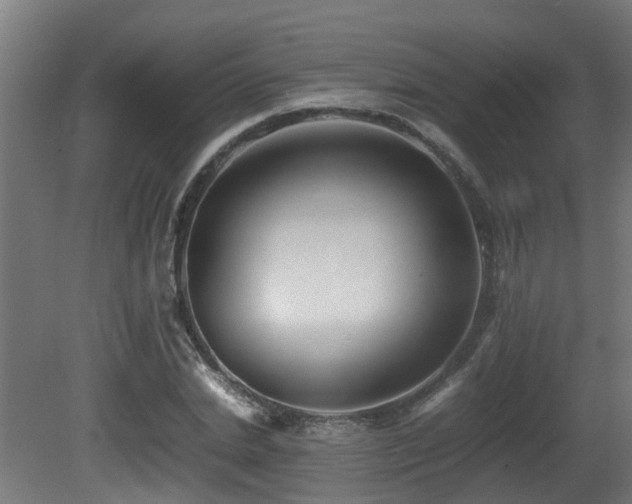 X0000081430830200701121300