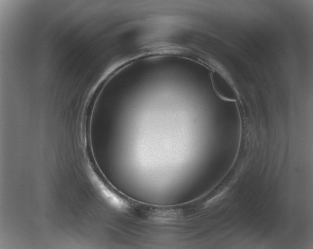 X0000081430843200701121300