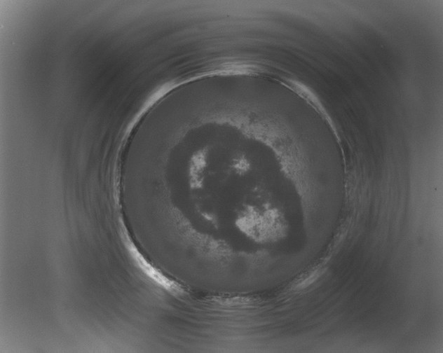 X0000081430851200701121300