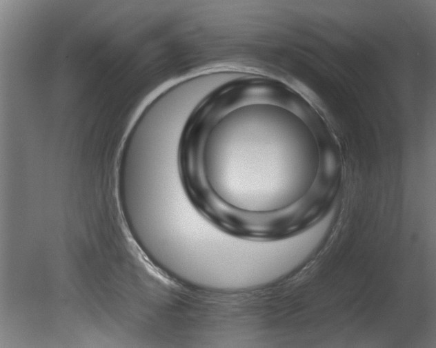 X0000081430854200701121300
