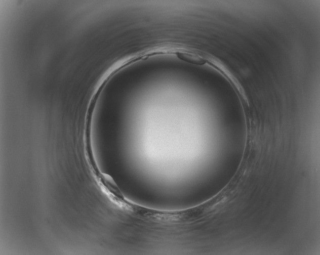 X0000081430861200701121300