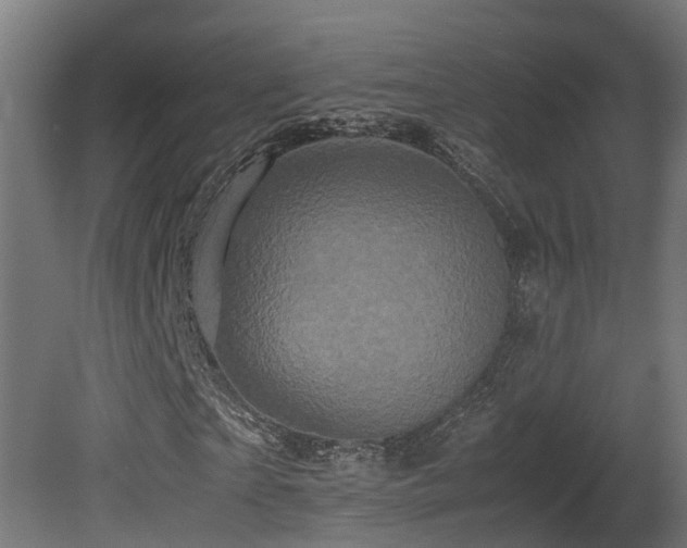 X0000081430865200701121259