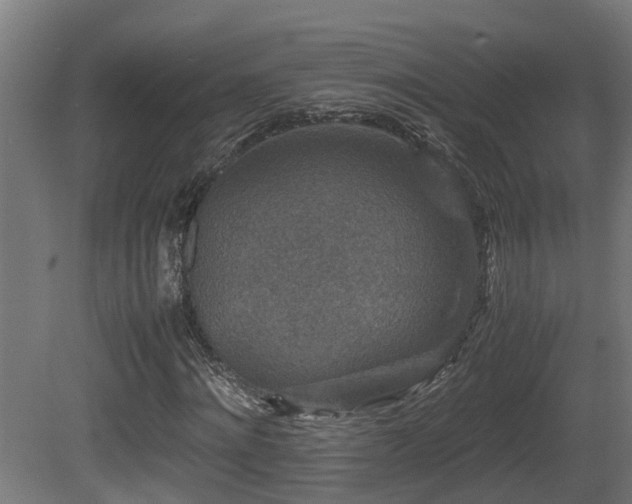 X0000081430868200701121259