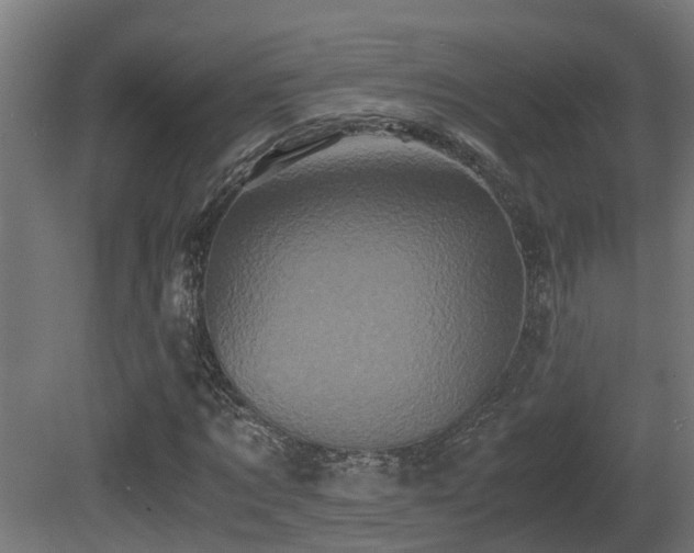 X0000081430869200701121259