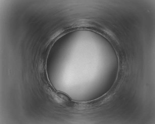 X0000081430873200701121259