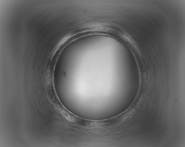 X0000081430875200701121259