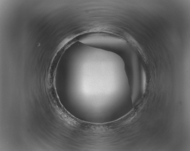 X0000081430876200701121259