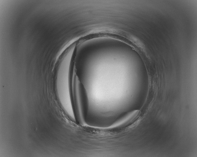 X0000081430877200701121259