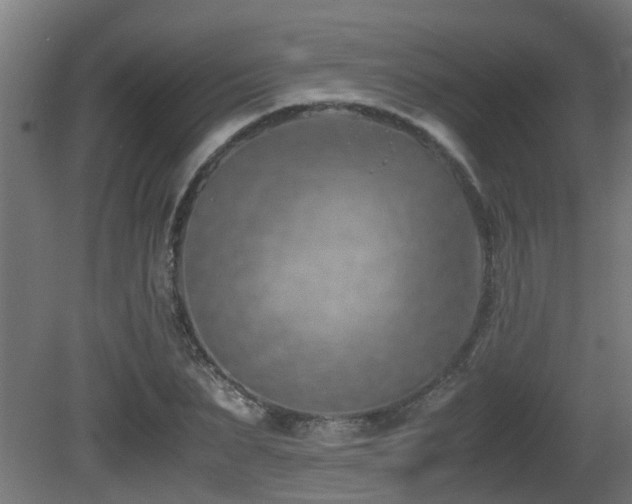 X0000081430879200701121259